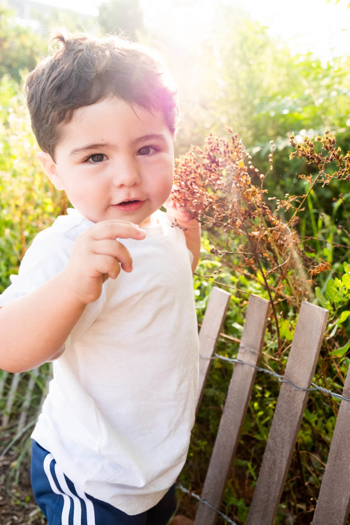 Toddler boy exploring nature, surrounded by greenery and sunshine.
