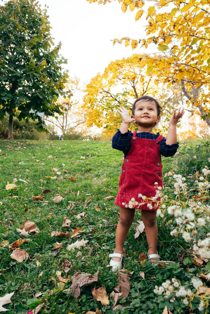 Little girl in a red dress enjoying the autumn leaves in a New York City park.