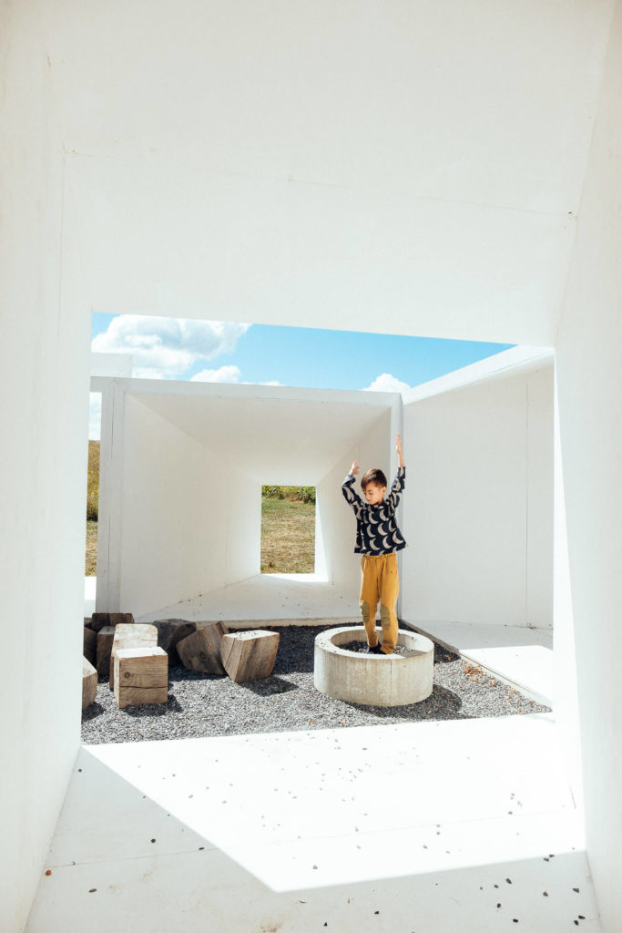two teens blowing dandelion seeds, rustic outdoor sibling portrait