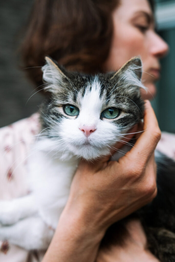 A person gently holds a white and gray cat close to their face. The cat looks directly at the camera with green eyes while the person’s face is softly blurred—capturing a warm moment in true family photography NYC style.